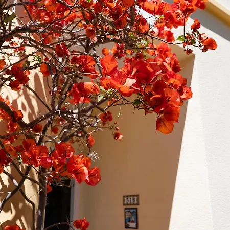 La Giralda Denia