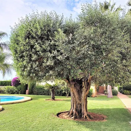 Holiday home La Giralda *